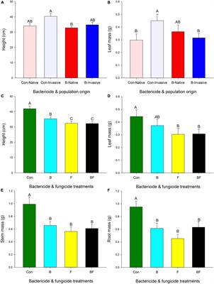 Bacterial and fungal inhibitor interacted impacting growth of invasive Triadica sebifera and soil N2O emissions